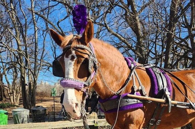 Central Park Horse Carriage Ride - Route Walkthrough, Cop Cot to Pinebank Arch