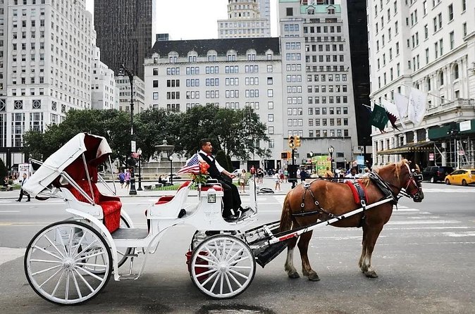 Central Park Horse Carriage Ride - Price and Value: When This Ride Makes Sense