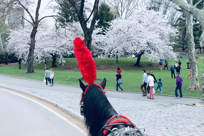 Central Park Horse Carriage Ride Short Loop (Up to 4 Adults)) - What You Get Onboard: Blankets, Roof Option, Treats, and Photos