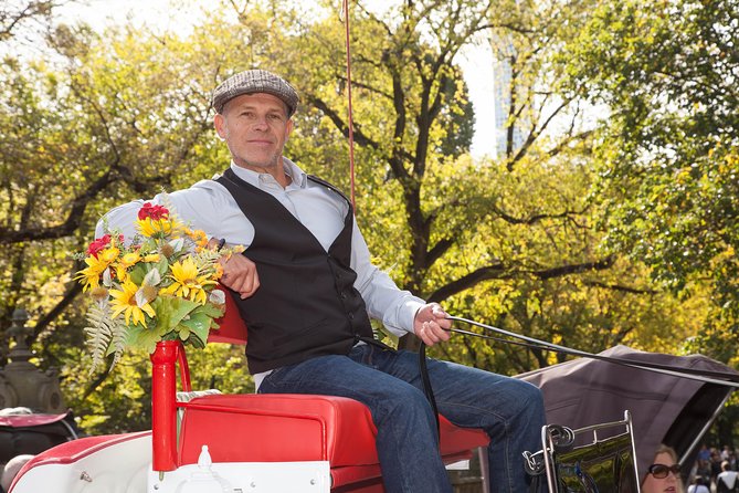 Central Park Horse Carriage Ride Short Loop (Up to 4 Adults)) - Guide and Horse Experience: Licensed Pros Plus a Human Touch