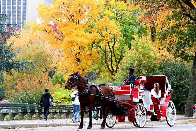 Central Park Horse Carriage Ride Short Loop (Up to 4 Adults)) - Who This Central Park Short Loop Fits Best