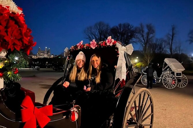 Central Park Moonlight Tour with Photo (45 min) ~ Skip the line - Key Highlights to Know Before You Go