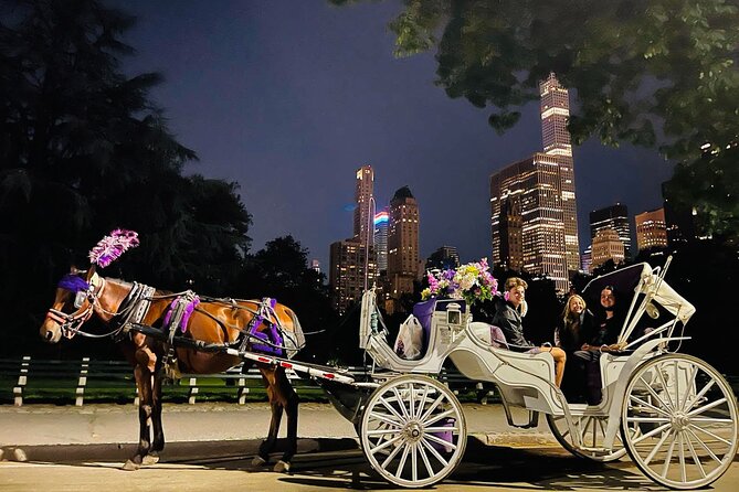 Central Park Moonlight Tour with Photo (45 min) ~ Skip the line - Moonlight Carriage Basics From Central Park South