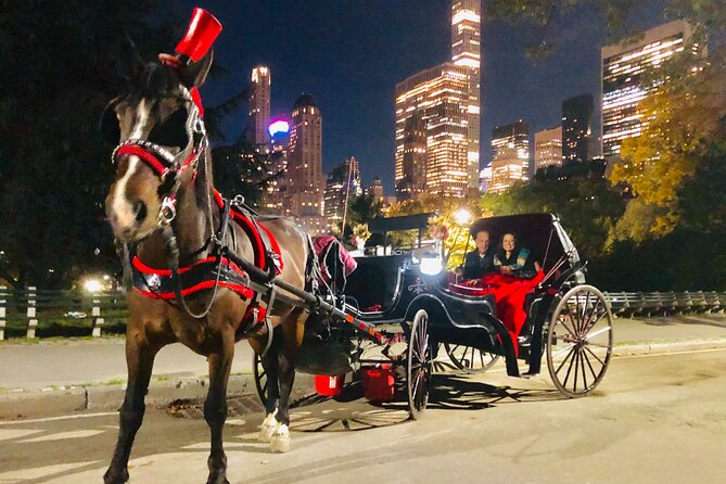 Central Park Moonlight Tour with Photo (45 min) ~ Skip the line - Feeding the Horse and Staying Cozy in the Dark
