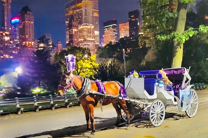 Central Park Moonlight Tour with Photo (45 min) ~ Skip the line - Couples and Families: Why This Ride Works