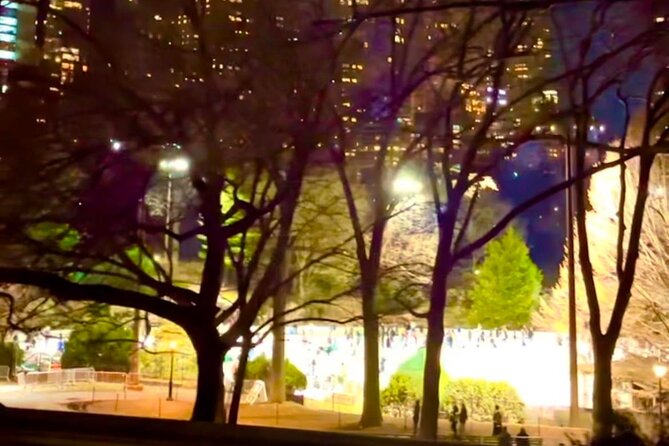 Central Park Moonlight Tour with Photo (45 min) ~ Skip the line - Price and Value for a Private 45-Minute Ride