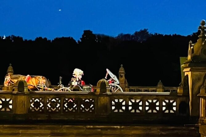 Central Park Moonlight Tour with Photo (45 min) ~ Skip the line - Meeting Point Tips at Top Hat NY Horse & Carriage