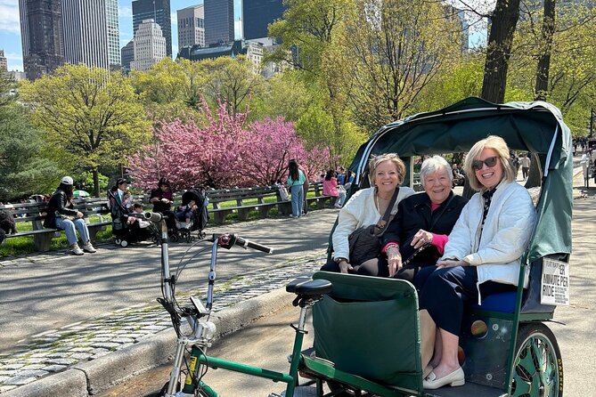 Central Park Movie Locations and Celebrity Homes Pedicab Tour - Bethesda Terrace: The Park’s “Heart” Moments on Film