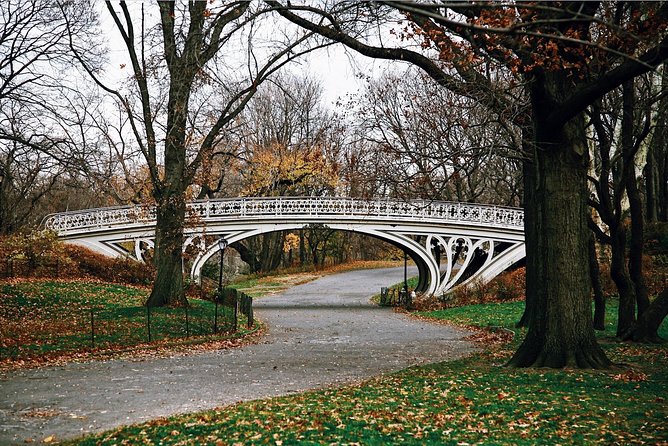 Central Park New York - Exclusive Guided Walking Tour - Central Park Zoo at the End: What You Get and What Costs Extra