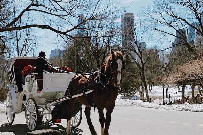 Central Park New York - Exclusive Guided Walking Tour - Start Point at Central Park South, Then a Tour That Adjusts to Real Life