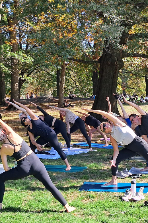 Central Park, New York: Yoga Classes in the park since 2012 - Key Highlights You’ll Care About