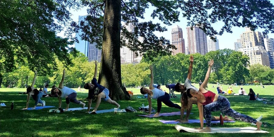 Central Park, New York: Yoga Classes in the park since 2012 - Where You Meet: Le Pain Quotidien and Sheep Meadow