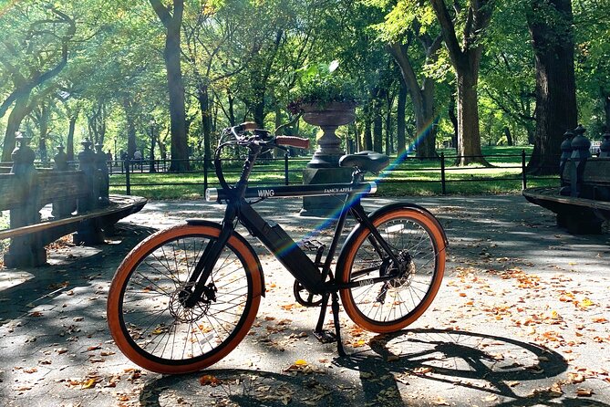 Central Park NYC Electric Bike Rental - Central Park e-bike timing, where people get burned