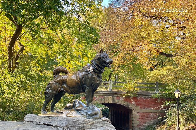 Central Park Pedicab Rickshaw Tours - Timing reality check: late starts do happen, so plan margin