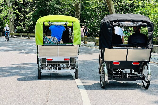 Central Park Pedicab Tour ( starting - Natural History Museum ) - Who should book this Central Park pedicab tour?
