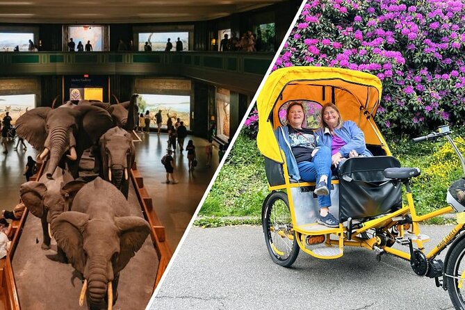 Central Park Pedicab Tour with Natural History Museum Access - Bethesda Fountain and Bow Bridge: the postcard duo, with actual context