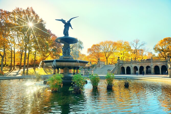 Central Park Pedicab Tours - A comfortable, photo-first way to see Central Park