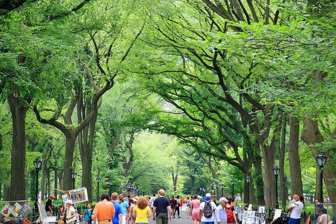 Central Park Photography Tour with Local Photographer - Price and value: why $100 can make sense here