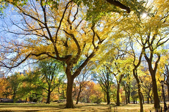 Central Park Photography Tour with Local Photographer - The shot plan through Central Park’s most photogenic corners