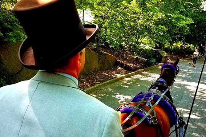 Central Park Private Horse and Carriage Tour - Central Park by carriage, timed for first-timers