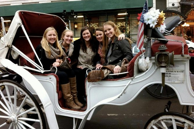 Central Park Private Horse and Carriage Tour - What the driver tells you, and why it changes everything