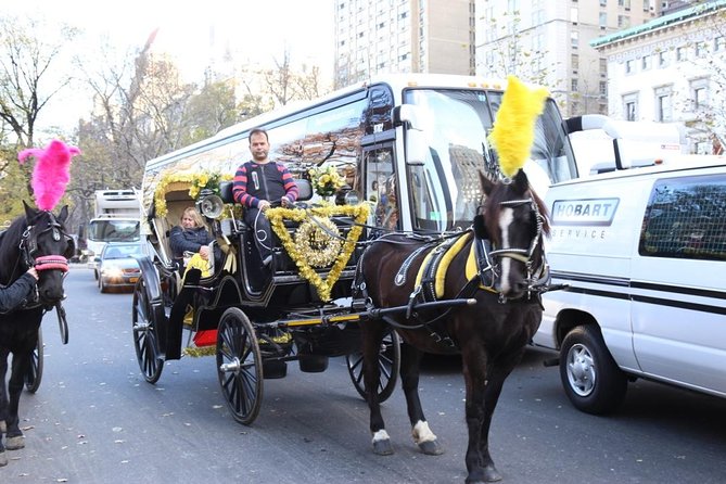 Central Park Private Horse Carriage Tour in NYC - Quick Takeaways Before You Book