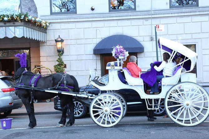 Central Park Private Horse Carriage Tour in NYC - Photo Stops: How to Get Great Shots Without Losing Time