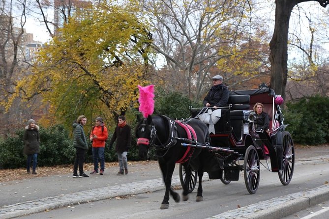 Central Park Private Horse Carriage Tour in NYC - The Guide Experience: Friendly, On-Message, and Useful