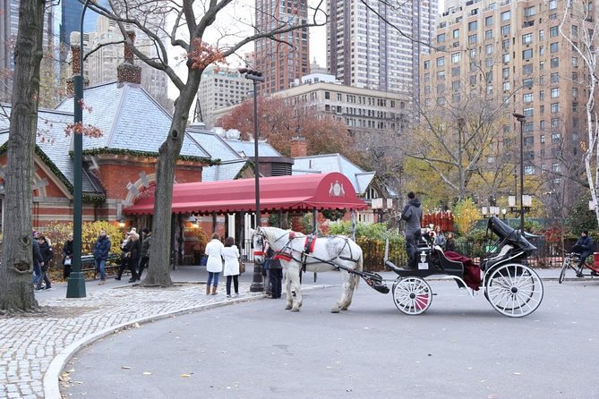 Central Park Private Horse Carriage Tour in NYC - Weather and Comfort: The Ride Only Works When Conditions Do