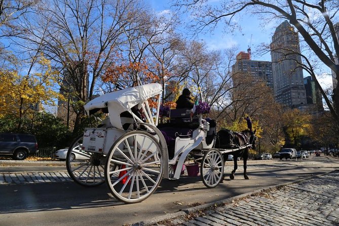 Central Park Private Horse Carriage Tour in NYC - Who This Central Park Carriage Tour Fits Best