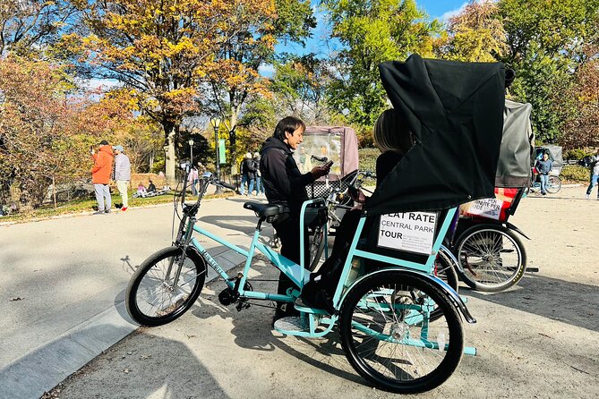 Central Park Private Pedicab Tour (2hrs) - Meeting point, timing, and how the tour stays easy