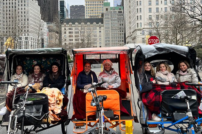 Central Park Private Tour - Cherry Hill, Bow Bridge, and Strawberry Fields: iconic stops in a smooth sequence