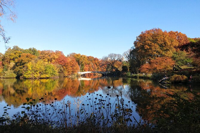 Central Park: Scandal & Vice Walking Tour - Should You Book the Central Park Scandal and Vice Tour?