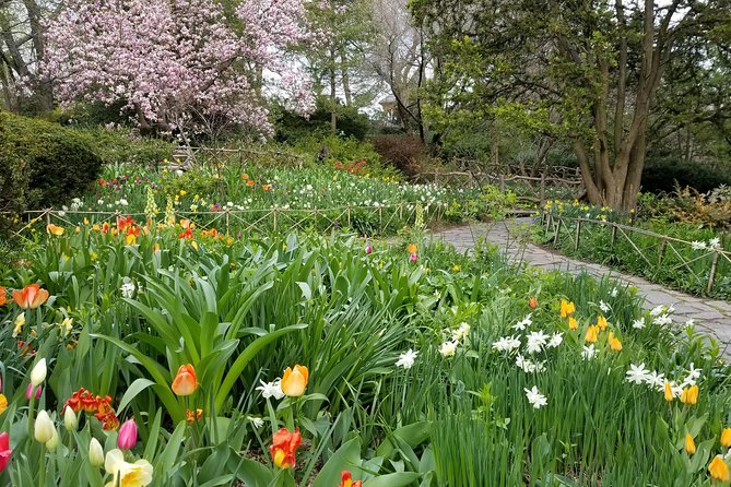 Central Park Secrets And Highlights - How “Movie-Recognizable” Spots Work on This Route