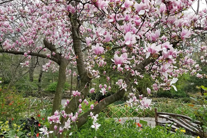 Central Park Secrets And Highlights - Arch Bridges and Rocky Nooks, Explained Without Fear