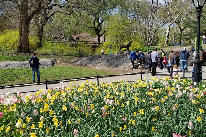 Central Park Secrets And Highlights - Photo Stops That Fit the Park, Not Just the Camera