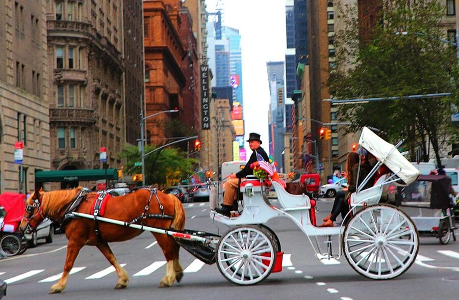 Central Park: Short Horse Carriage Ride (Up to 4 Adults) - Central Park After Dark: Why This Short Carriage Ride Feels Worth It