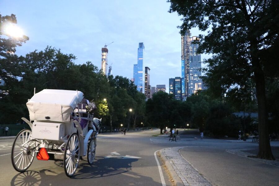 Central Park: Short Horse Carriage Ride (Up to 4 Adults) - Photo Stops and Guide Photos: Turning the Ride Into Keepsakes