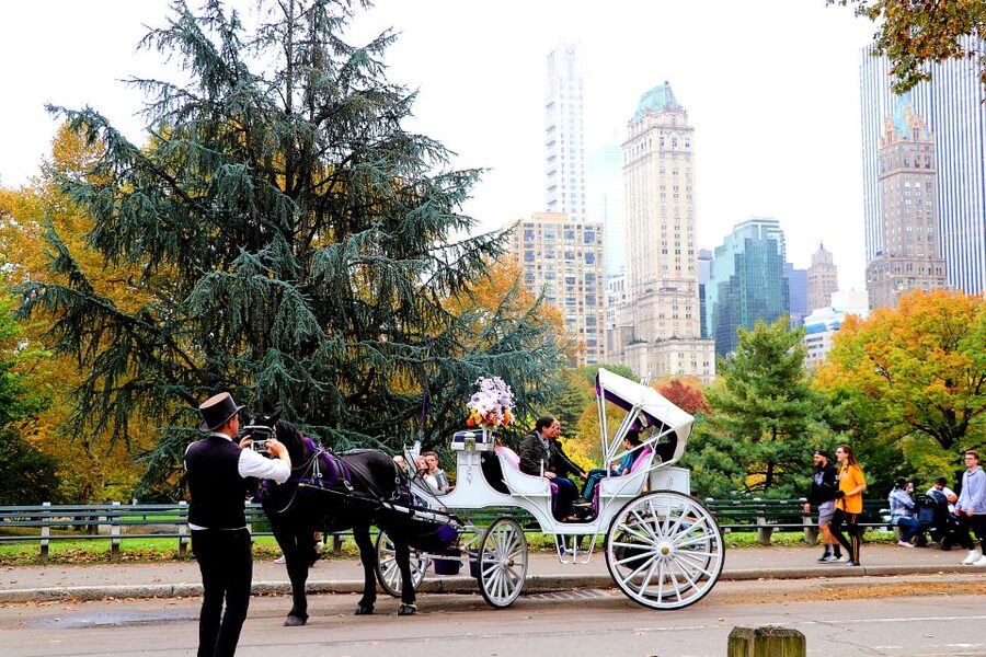 Central Park: Short Horse Carriage Ride (Up to 4 Adults) - Who This Is Best For (and Who Should Skip It)