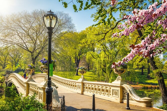 Central Park Stolen Archives: NY Exploration Game and Tour - William Shakespeare, the Mall and Literary Walk, Bethesda Terrace: where you can linger
