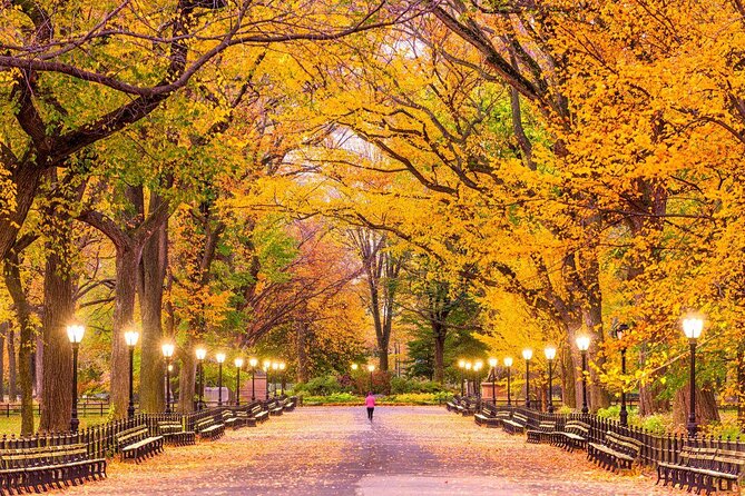 Central park Tour happy hour Pedicab tour - Key highlights worth your attention