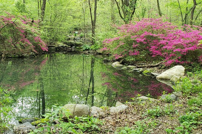 Central Park Walking Tour - Guide Storytelling, Small Groups, and Picture-Friendly Stops