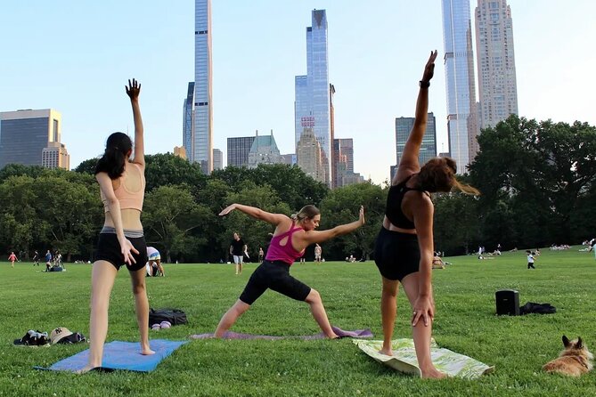 Central Park Yoga Class with a View in the Heart of New York City - Key highlights before you go