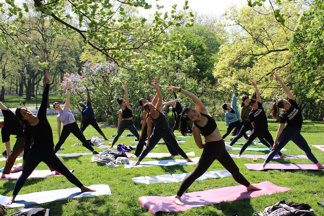 Central Park Yoga Class with a View in the Heart of New York City - The park route: Central Park yoga plus major stops