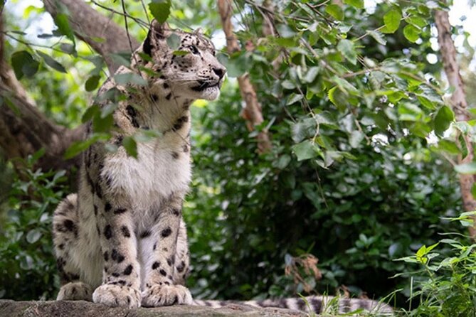Central Park Zoo Admission Ticket with 4D Theater Access - Timing Your Visit: Hours, Last Entry, and Best Flow