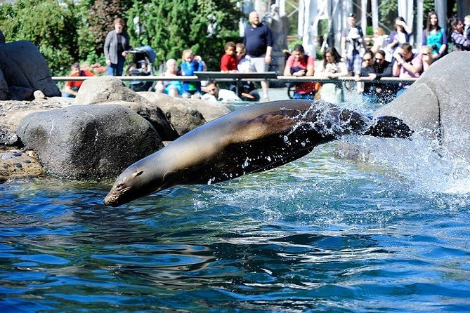 Central Park Zoo Admission Ticket with 4D Theater Access - Entering the Biomes: Tropic Zone, Temperate Territory, Polar Circle