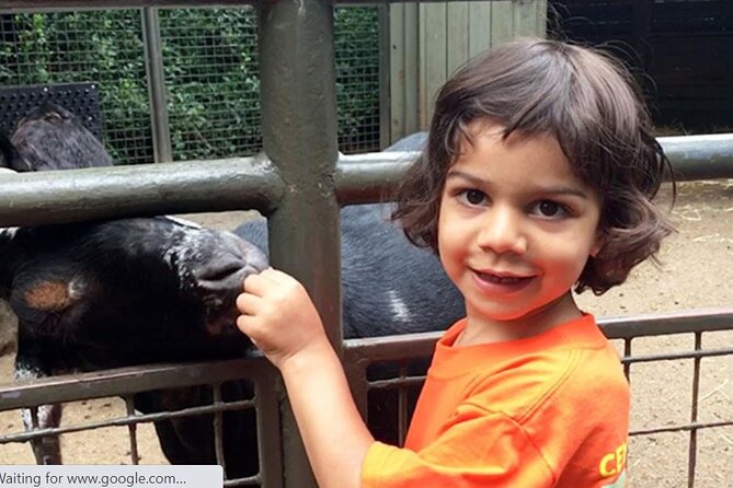 Central Park Zoo Admission Ticket with 4D Theater Access - Tisch Children’s Zoo Petting Area and the Manhattan Cow