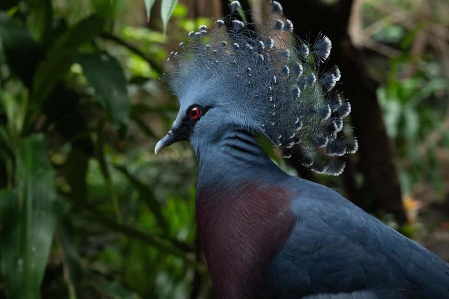 Central Park Zoo Entry Ticket - Other Standout Species and Bird Viewing Moments