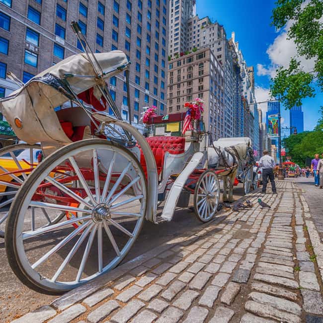Christmas in Central Park: Horse Carriage Holiday Tour - Meeting at 190 Central Park South and Settling Into the Carriage