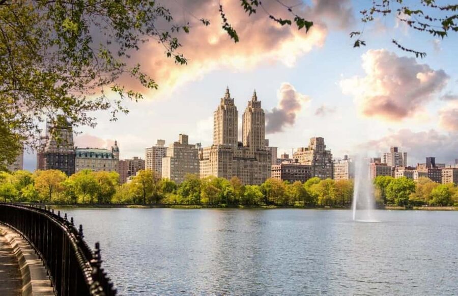 Christmas in Central Park: Horse Carriage Holiday Tour - Price and Value for a Private Group Up to Four